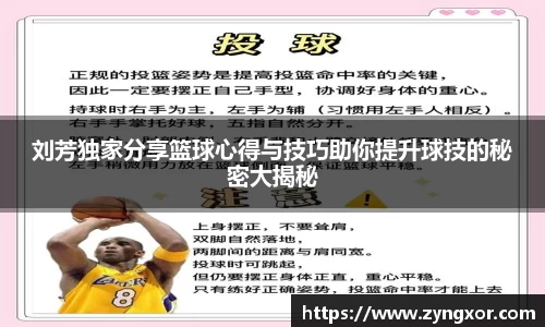 必一运动b-sports