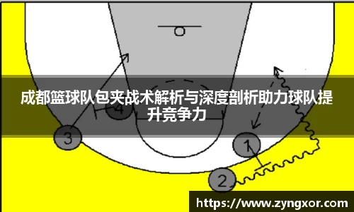 必一运动b-sports官网